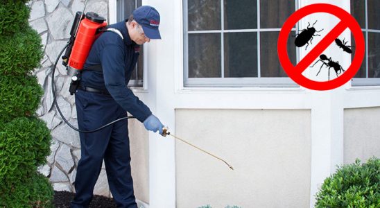 Narlıdere Kemirgen İlaçlama böcek ilaçlama ve haşere kontrolü — ilaclama-tr.com